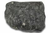 L Chondrite Meteorite ( g) - Hammadah al Hamra #302202-2